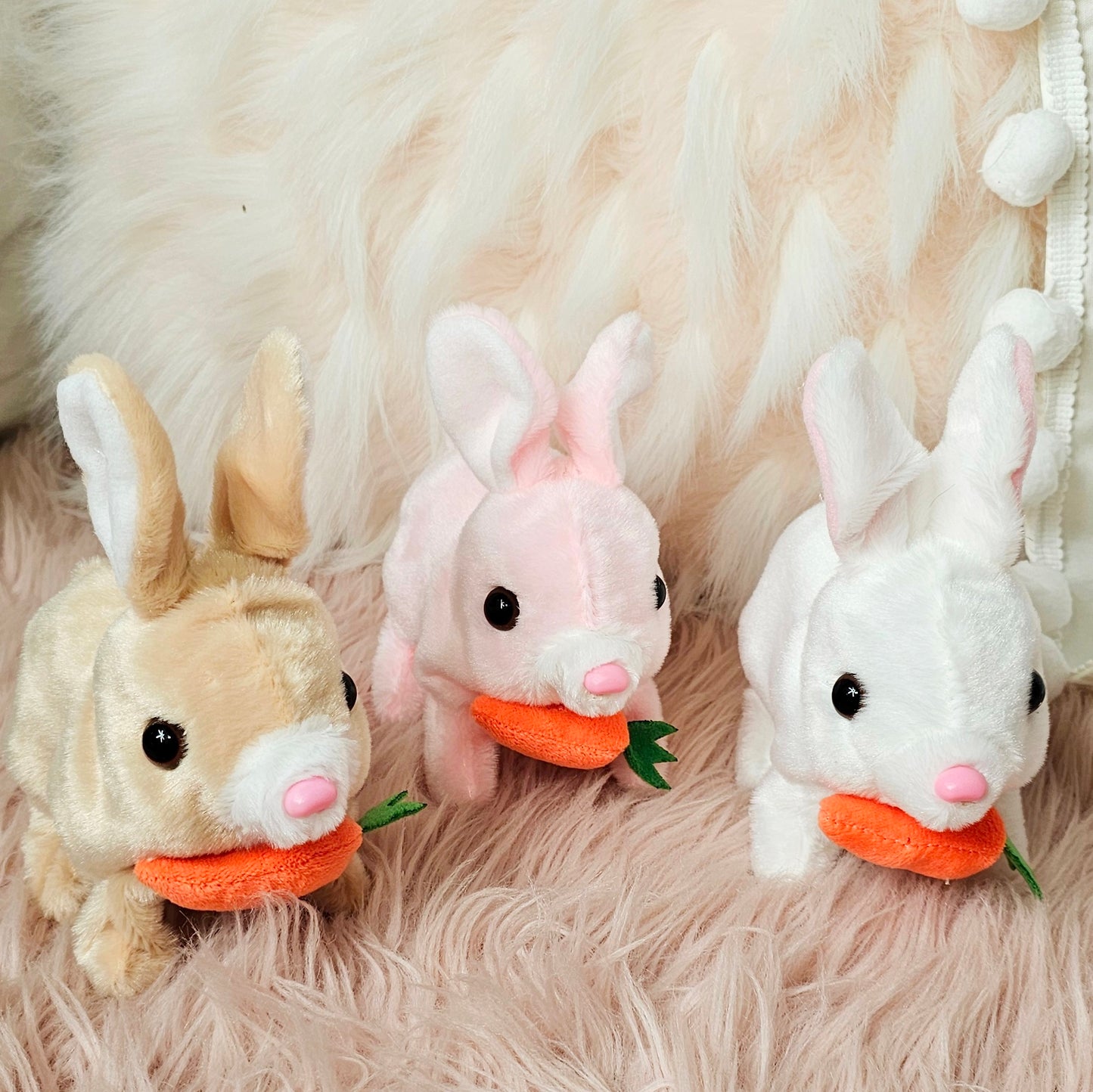Bunny Rabbit