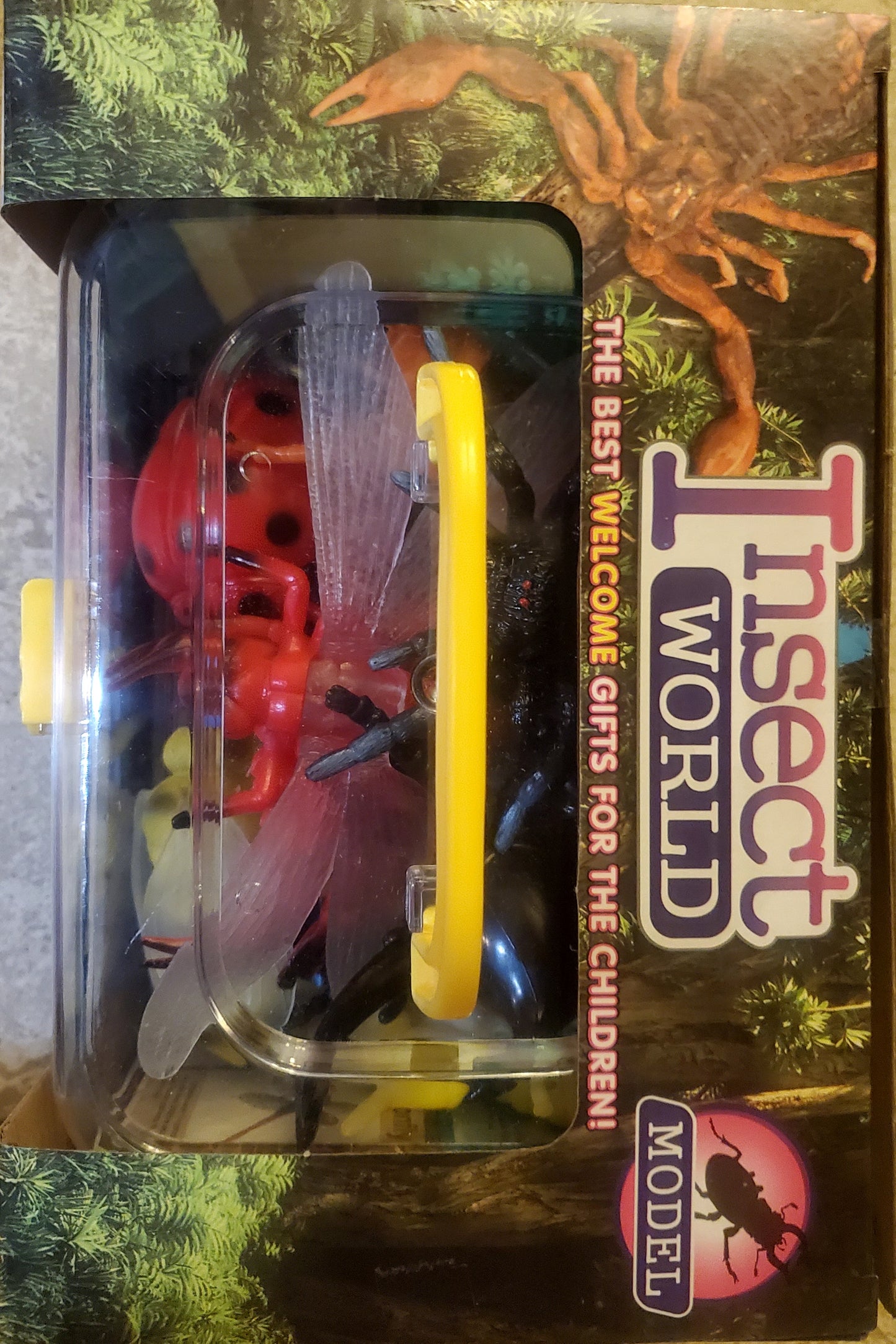 Insect World
