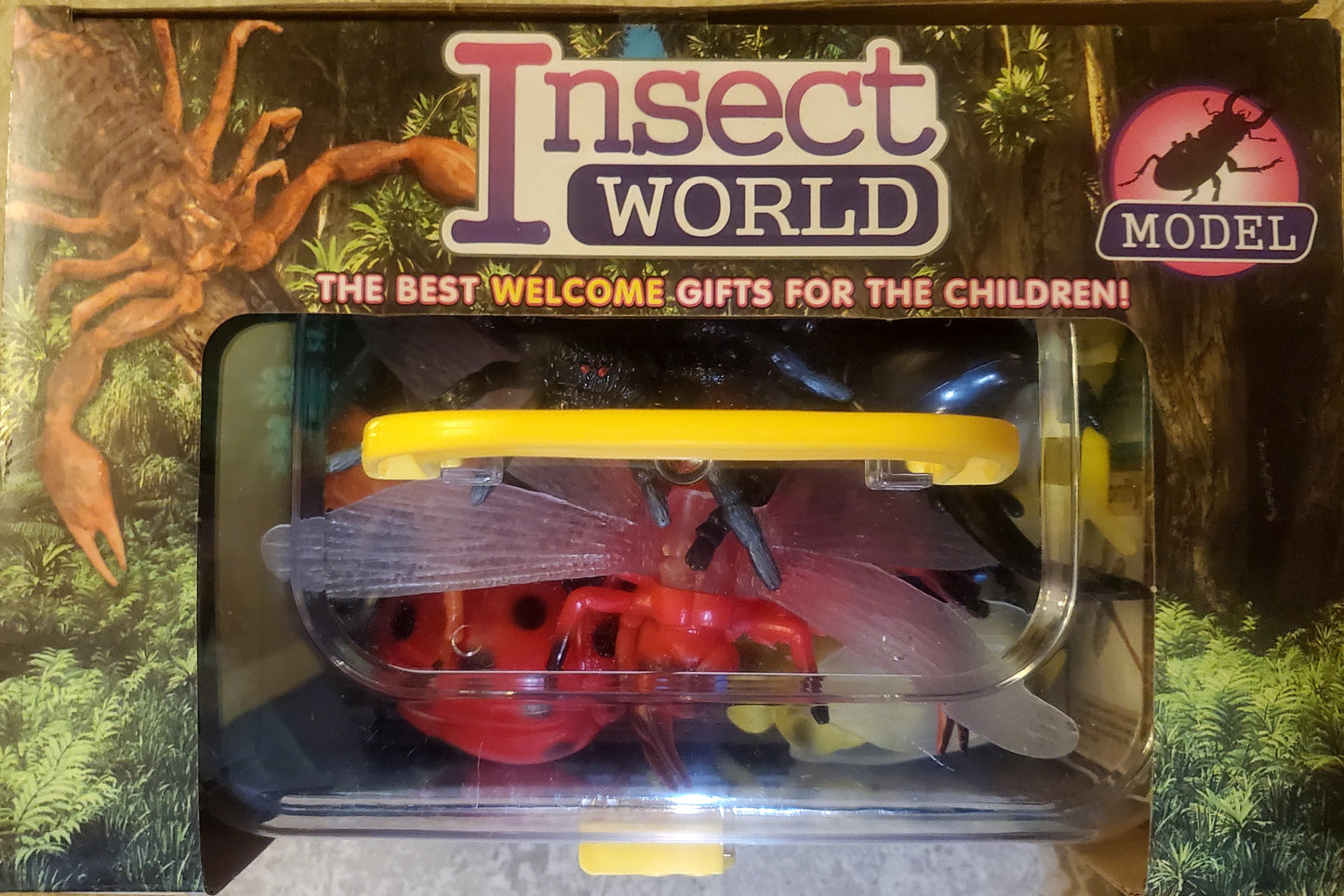Insect World