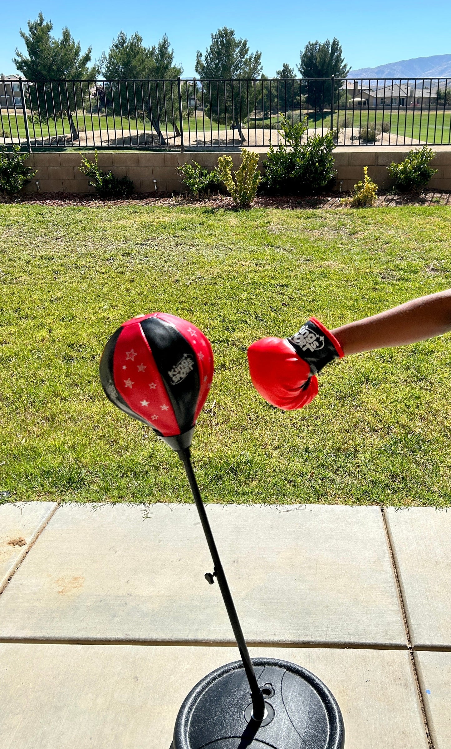 Reflex Bag / Punching Ball Large