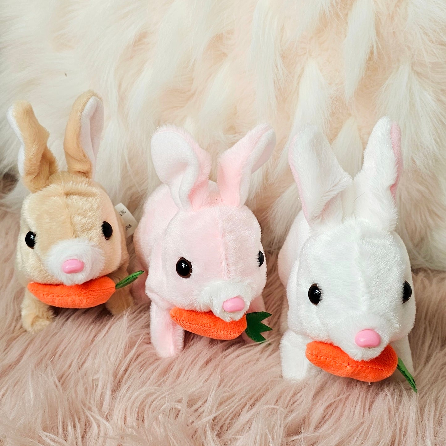 Bunny Rabbit