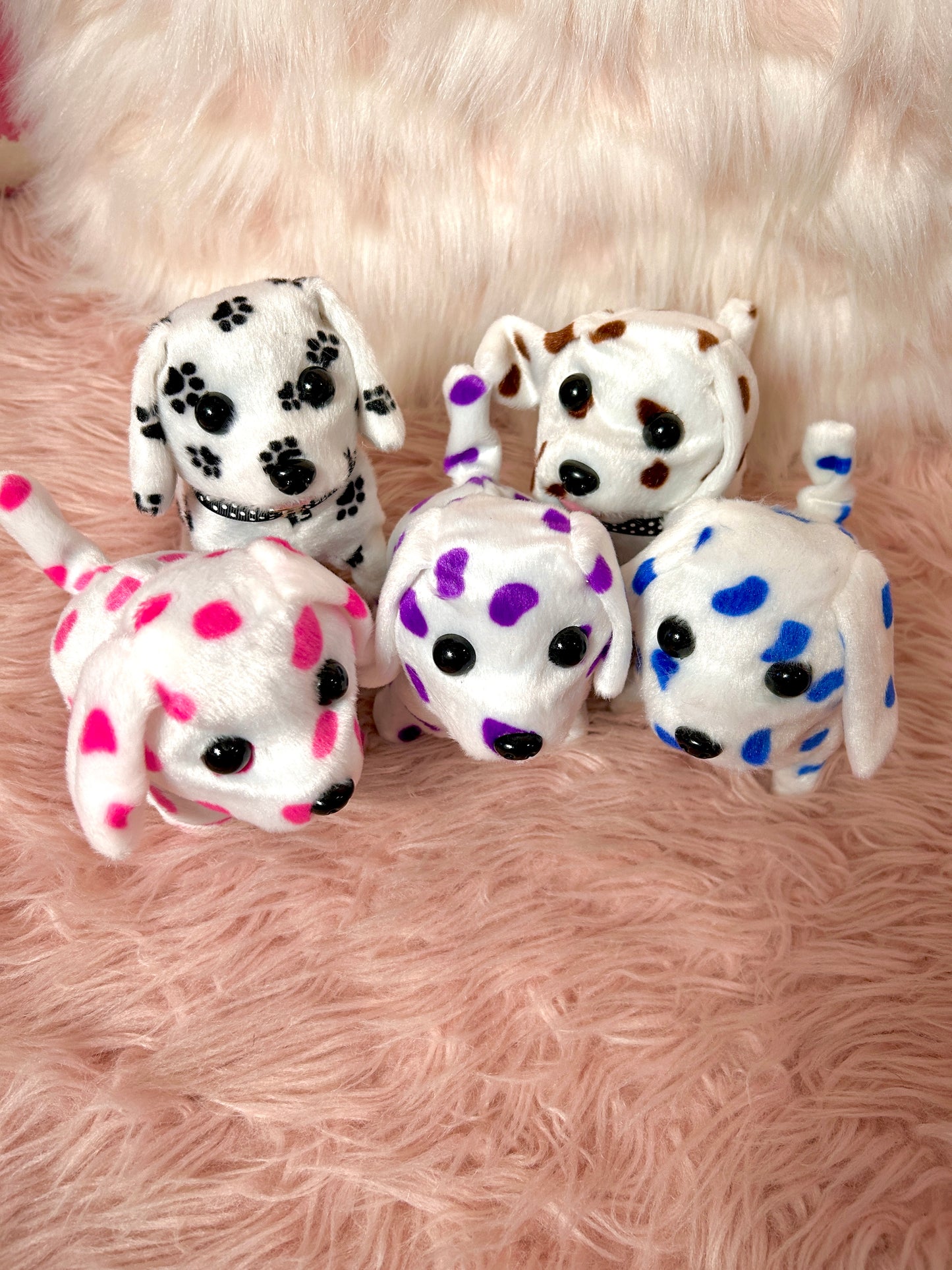 Spotted Puppies